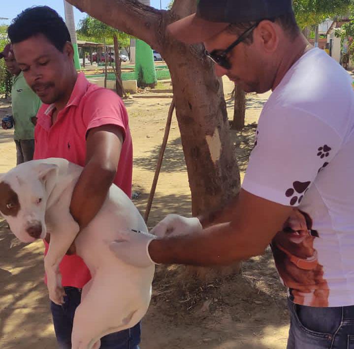 A Campanha de Vacinação Antirrábica já começou aqui em Serra do Ramalho!