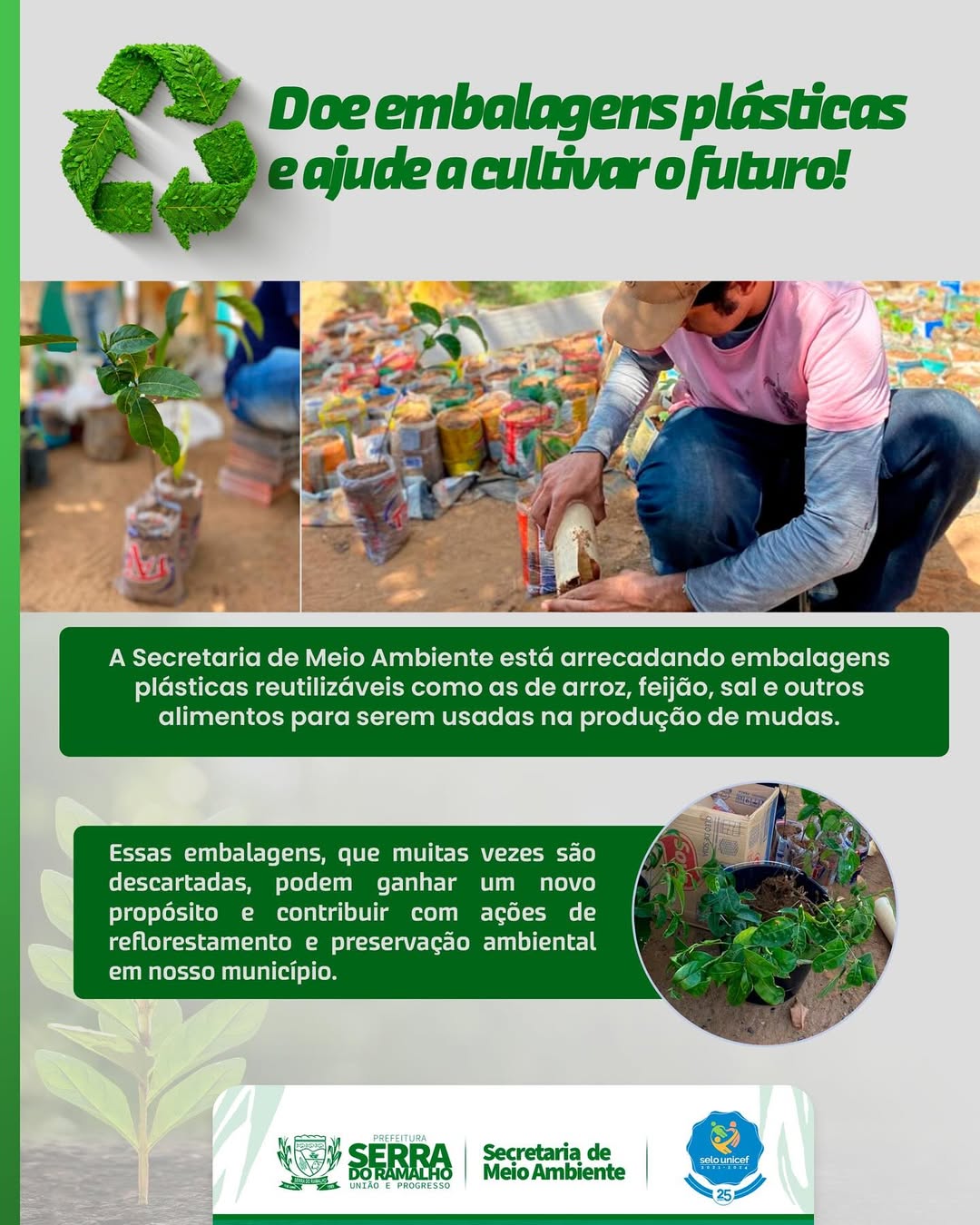 Secretaria De Meio Ambiente Arrecada Embalagens Plásticas Para Produção De Mudas