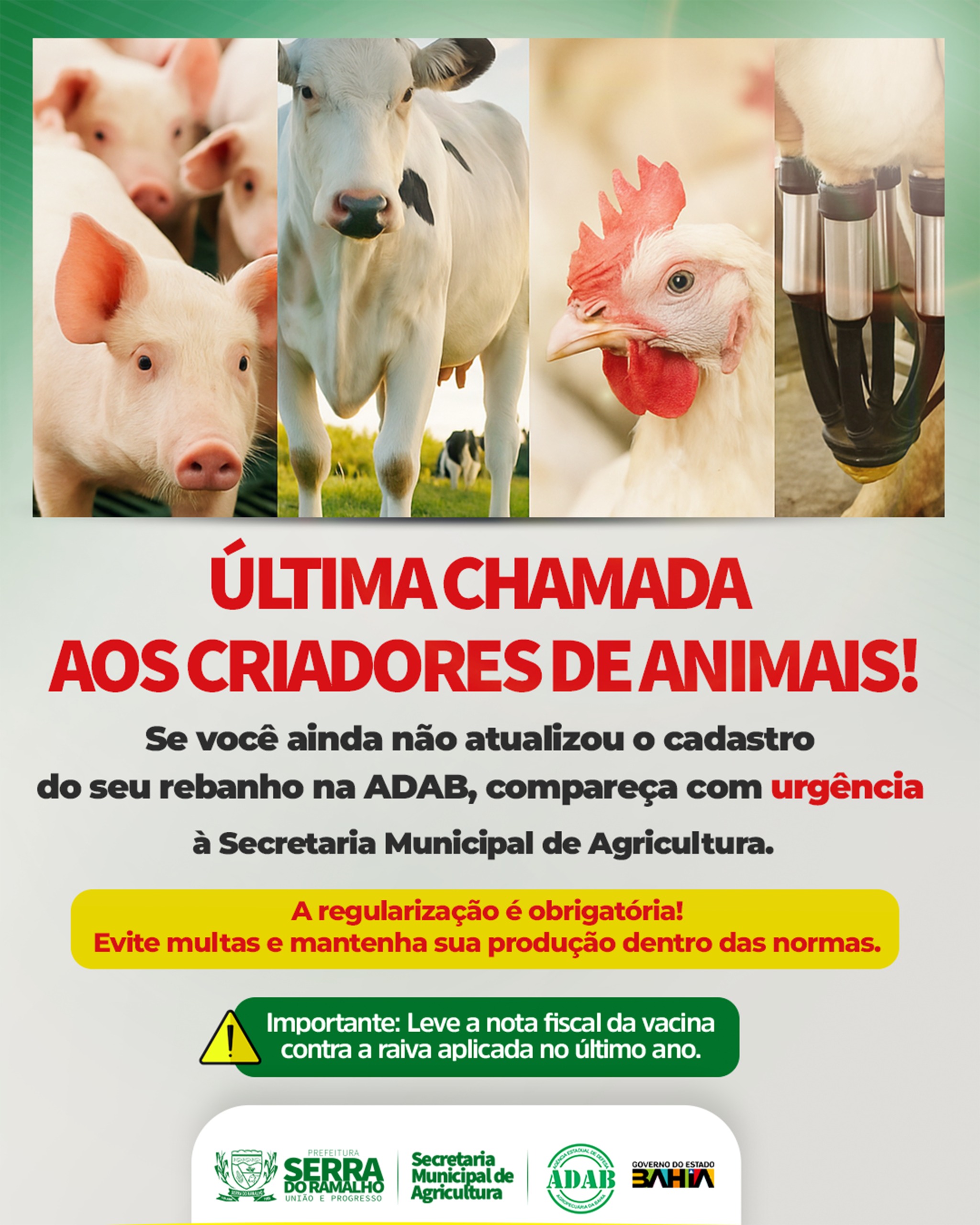 Secretaria de Agricultura faz última chamada para atualização de cadastro de rebanhos na ADAB
