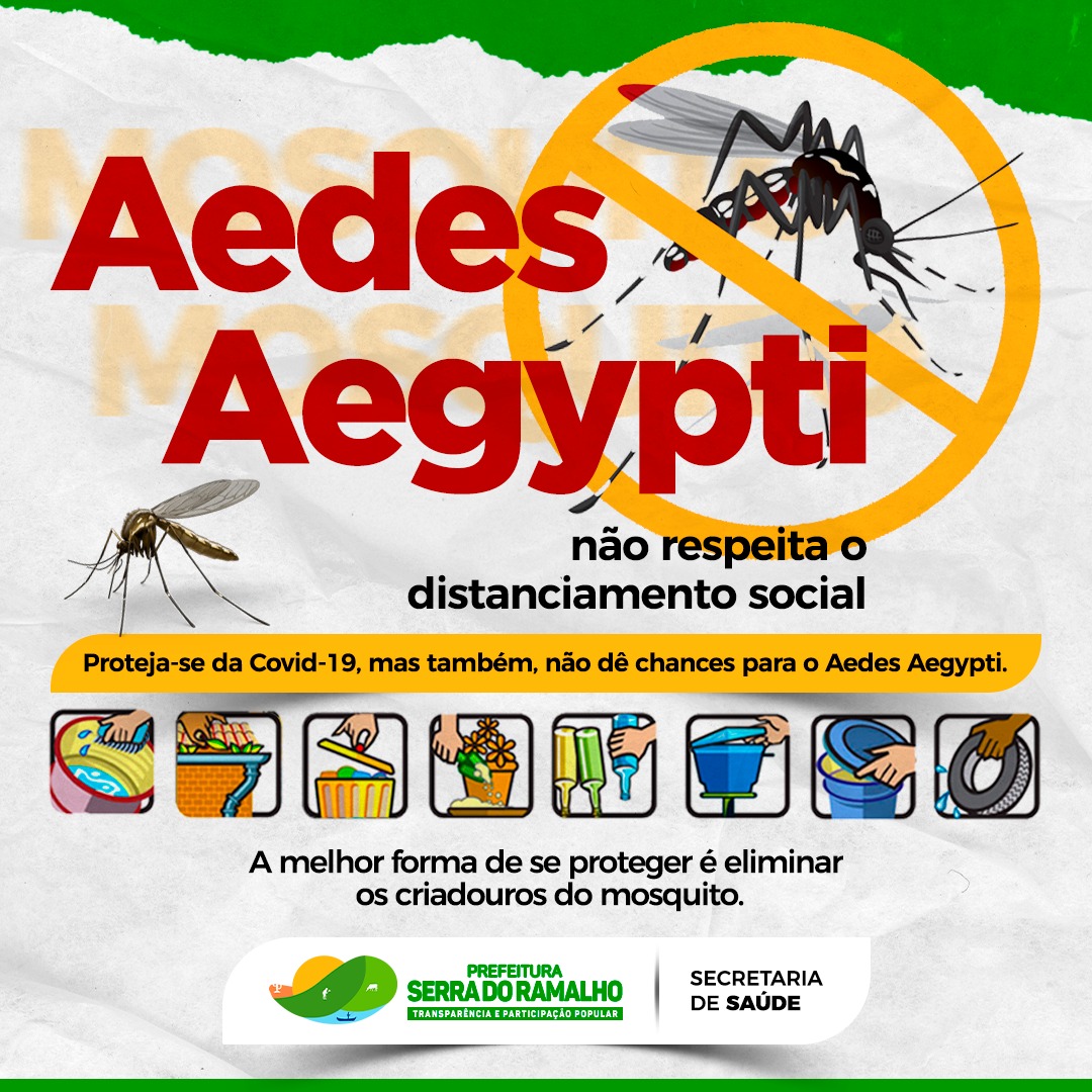 Com o aumento dos casos de dengue, é necessário cuidado dobrado!