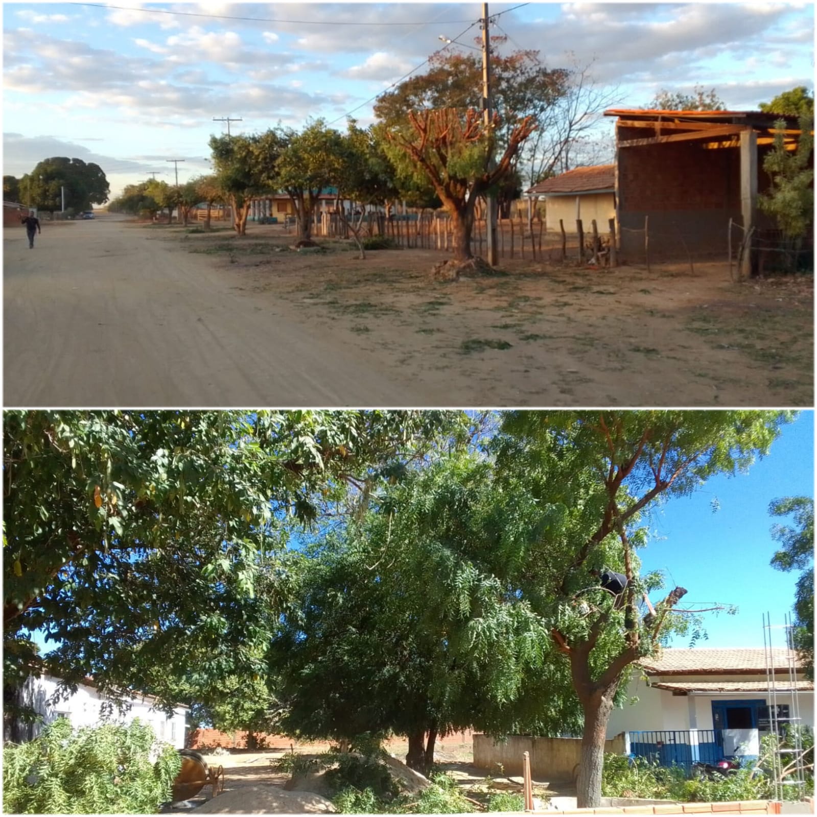 A equipe da Secretaria de Meio Ambiente realizou nesta quinta (27), a poda das árvores da Agrovila 19