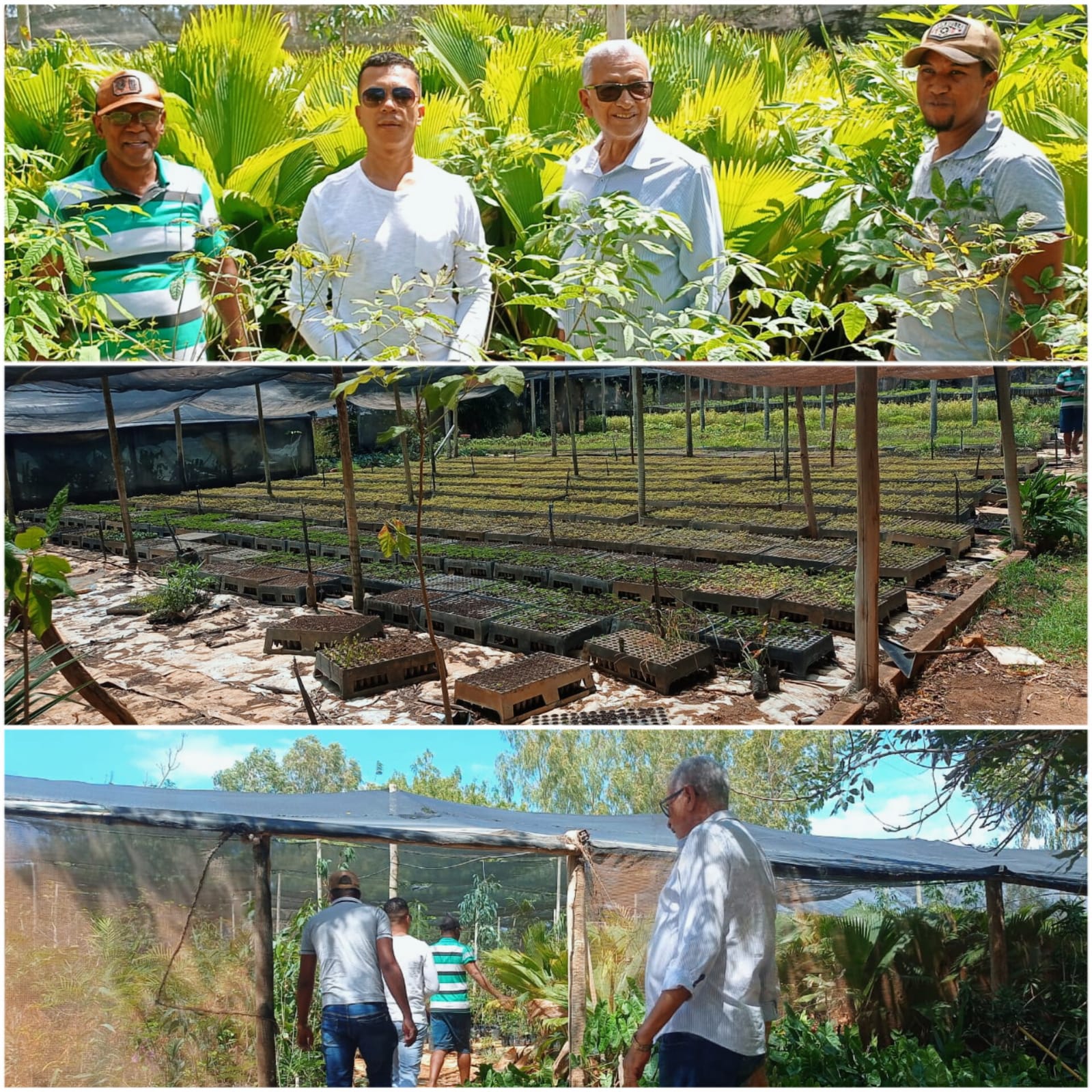 Secretaria de Meio Ambiente realiza visita ao Sítio Beija Flor, em Riacho de Santana