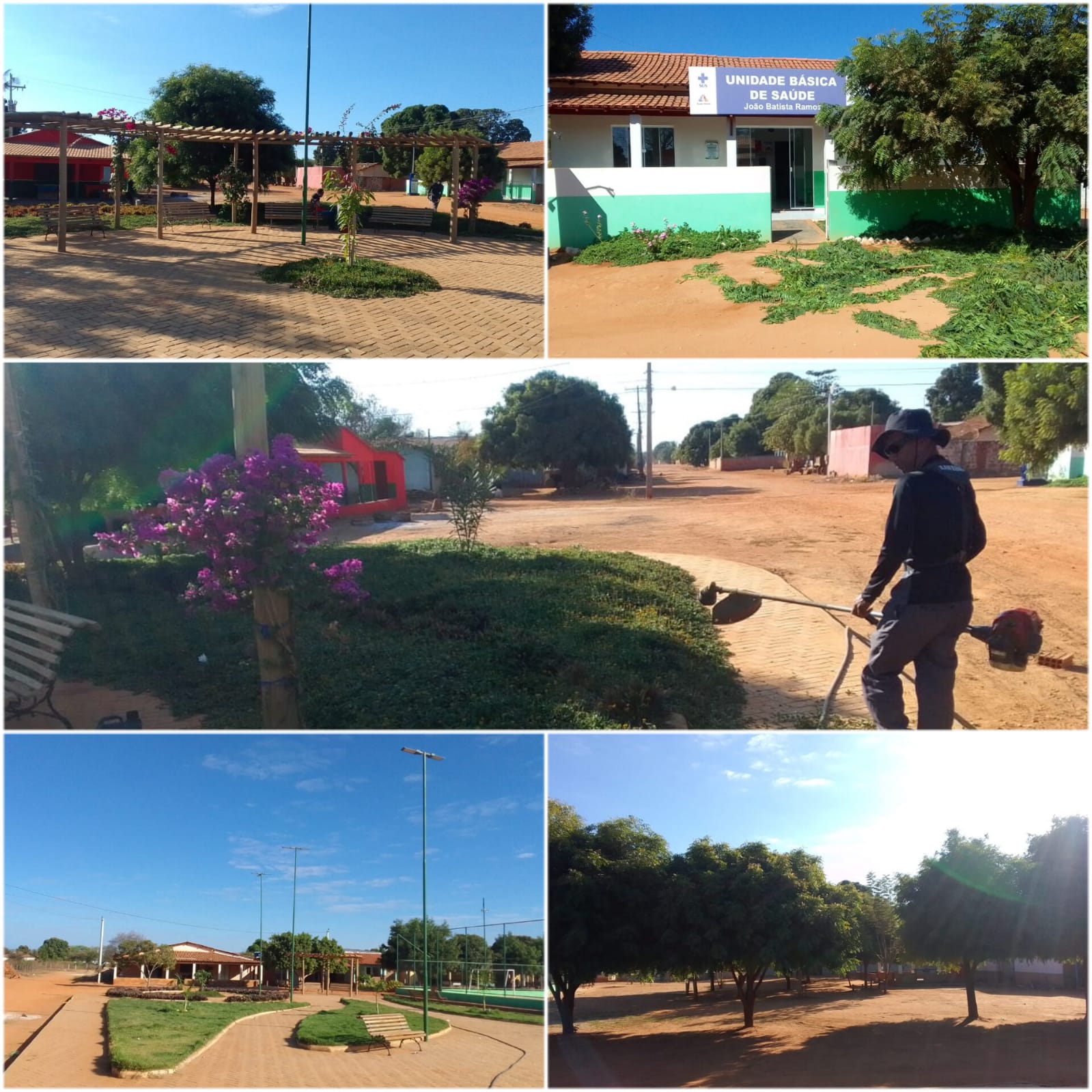 A equipe da Secretaria de Meio Ambiente realizou podas nas árvores da Agrovila 13