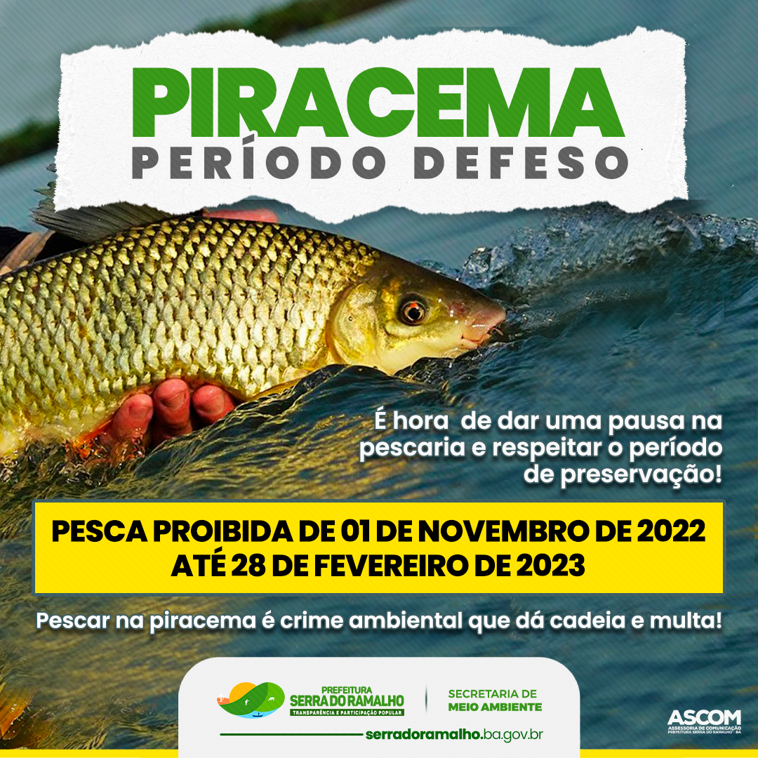 O período da Piracema chegou: é hora de dar uma pausa na pescaria e respeitar o período de preservação!
